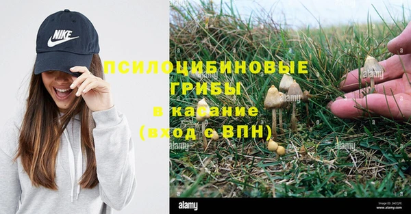 марки nbome Балахна