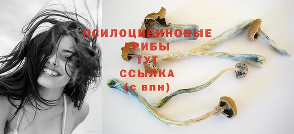 COCAINE Баксан
