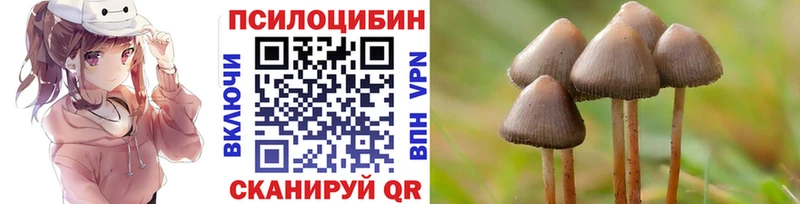 ОМГ ОМГ сайт Красновишерск Псилоцибиновые грибы Psilocybine cubensis