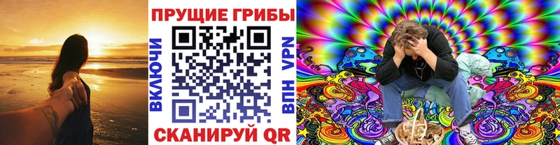 Псилоцибиновые грибы Psilocybine cubensis Красновишерск